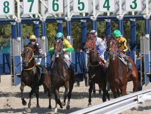 How to calculate horse betting payouts
