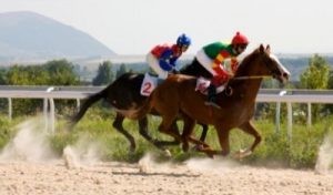 Horse Racetracks - Turf vs. Dirt