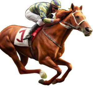 2 Horse Betting Systems